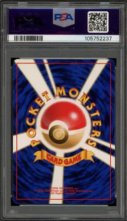 Pokemon Wartortle Southern Island T.I. Japanese Promo #008 PSA 10 Gem Mint - Image 2
