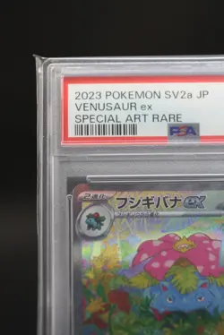 PSA 10 Venusaur ex SAR 200/165 sv2a Scarlet & Violet Pokemon Card 151 Japanese - Image 2