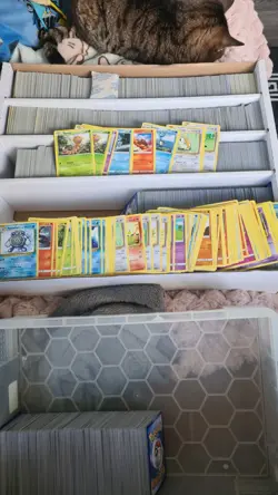 Pokemon 100 x TCG Game Cards Non Holo Bulk Bundle Collection Bulk Job NM #6 - Image 2