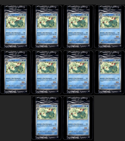 10x SEALED ILLUSTRATION CONTEST - SVP PROMOS PIKACHU FERALIGATR 213 214 215 - Image 1