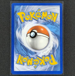Sobble - SWSH073 - Black Star Promo - Pokemon Card - VLP - Image 2
