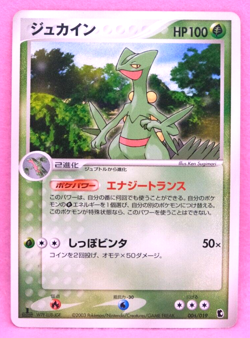 Sceptile 1st Edition 2003 Vintage 006/019 Nintendo Pokemon Card Japanese F/S - Image 1