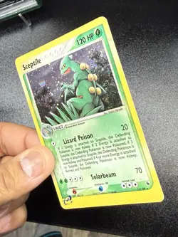 Pokemon TCG Sceptile EX Ruby and Sapphire Holo Rare Card 11/109 HP - Image 3