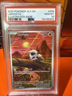 Pokemon TCG Larvesta Illustration Rare Black Bolt Card 099/086 English PSA 10 - Image 3