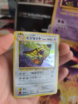 Pokemon Karte Card tauboss Pidgeot Jungle Dschungel 1997 Holo Wotc japanese NM- - Image 5
