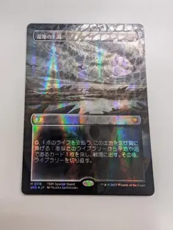 MTG Marsh Flats Borderless Dragonscale FOIL Special Guests #115 Japanese card - Image 1