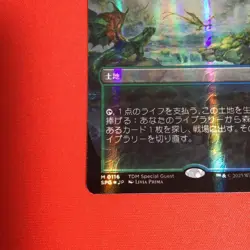 MTG Tarkir Dragonstorm Special Guest MISTY RAINFOREST Dragonscale Foil Japanese - Image 5