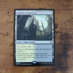 Shadowy Backstreet Murders at Karlov Manor Regular - Image 1