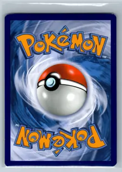 Oshawott - Black Star Promo SWSH222 2022 Collector Chest Pokemon TCG Card - Image 2
