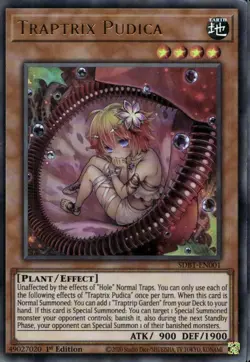 Traptrix Pudica 1st Ed Ultra Rare SDBT-EN001 Yu-Gi-Oh! - Image 1