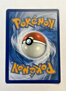 Pikachu V SWSH145 SWSH: Sword & Shield Promo Cards Holo - Image 2