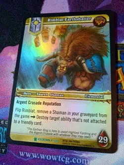 WOW TCG - Shaman Deck + Extras - Rimblat Earthshatter - 70 Cards - Image 1
