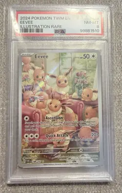 Pokemon Scarlet & Violet Twilight Masquerade Eevee 2024 PSA 8, #188/167 - Image 1