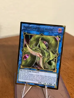 Yu-Gi-Oh! El Dorado Predaplant Verte Anaconda 2021 MGED-EN036 Gold Rare 1st Ed - Image 2