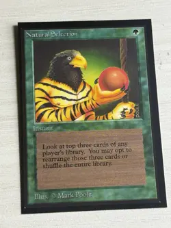 Magic the Gathering International Edition Natural Selection NM MTG - Image 1