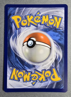 Pokemon Magikarp 203/193 Illustration Rare Full Art Holo Sv02: Paldea Evolved - Image 2