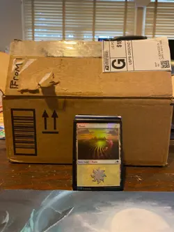 Magic the Gathering 5.6lbs Basic Lands Lot - Image 3