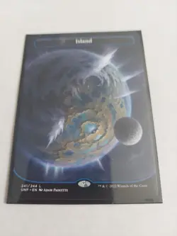 Island (241) (Borderless) Unfinity Regular - Image 1
