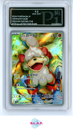 HISUIAN GROWLITHE 2024 POKEMON JP CRIMSON HAZE #75 ILLUSTRATION RARE PI 9.5 - Image 1