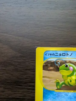 Clair's Politoed 050/141 VS Series 1st Edition 2001 Japanese Pokemon Card - Image 2