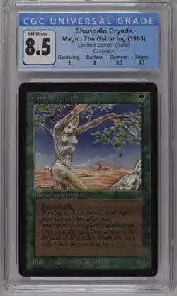 SHANODIN DRYADS Beta C CGC 8.5 MTG [Nostalgium] - Image 1