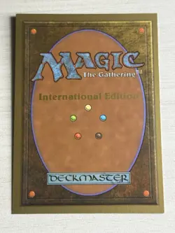 MTG International Collector's Edition - Northern Paladin - Never Played - Mint - Image 2