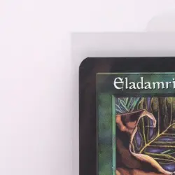 Eladamri, Lord of Leaves Tempest Regular - Image 3