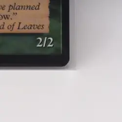 Eladamri, Lord of Leaves Tempest Regular - Image 5