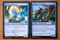 Set 10 Blue Merfolk Creatures *NM* Magic Gathering MTG Commander Cursecatcher - Image 2