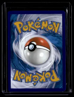 Lucario V SWSH213 Promo SWSH Black Star Pokemon Card - Image 2