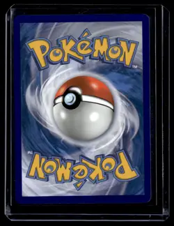 Pikachu V SWSH063 Promo SWSH Black Star Pokemon Card - Image 2