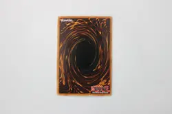 Book of Life (PGD-033) - Yu-Gi-Oh! TCG Super Rare, Holo NM - Image 3