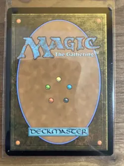 Rhythm of the Wild (Borderless) - 0012 - Regular- PZA - TMNT - NM - - Image 2