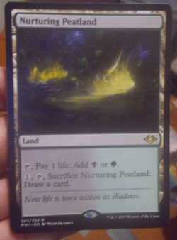 nurturing peatland - Image 1