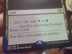 nurturing peatland - Image 2