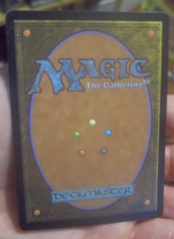 nurturing peatland - Image 3