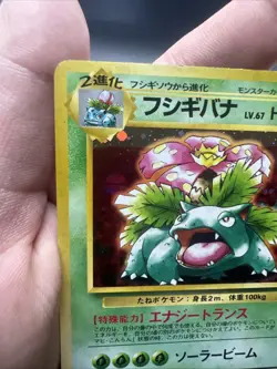 Pokemon Venusaur – Intro Pack (Bulbasaur Deck) – Holo (Japanese) – Moderate Play - Image 5