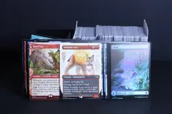 Magic the Gathering Bloomburrow Lot of 385 Assorted Cards and Accessories - Image 2