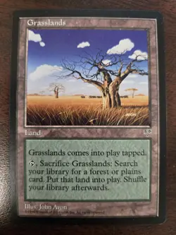 Grassland NM Mirage MTG FREE SHIPPING - Image 1