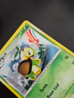 Turtwig 17/17 - HOLO - Pop Series 6 Promos 2007 - Pokemon TCG Card - Image 3