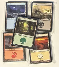 200x Magic the Gathering Basic Land Cards Lot - 40 of each type - MTG - Image 1