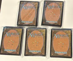 200x Magic the Gathering Basic Land Cards Lot - 40 of each type - MTG - Image 3