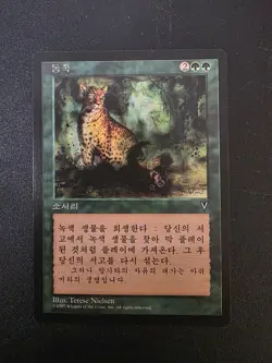 Natural Order 1997 Korean Sorcery Terese Nielsen MTG - Image 1