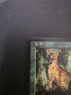 Natural Order 1997 Korean Sorcery Terese Nielsen MTG - Image 3