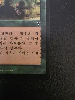Natural Order 1997 Korean Sorcery Terese Nielsen MTG - Image 5