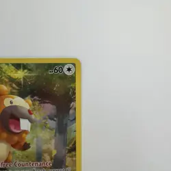 Bidoof GG29/GG70 Crown Zenith Galarian Gallery Full Art Holo Pokemon Card MINT - Image 4
