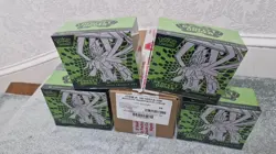 🔥4 x POKEMON CENTER ETB🔥PERFECT ORDER ELITE TRAINER BOX CASE CENTRE TCG - Image 2