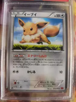 Pokemon Card Eevee Evoli Rising Fist 1. Edition XY 2014 Japanese PSA 10 - Image 3