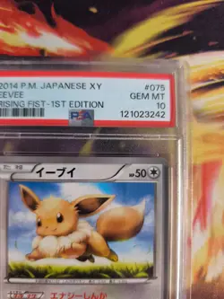 Pokemon Card Eevee Evoli Rising Fist 1. Edition XY 2014 Japanese PSA 10 - Image 4