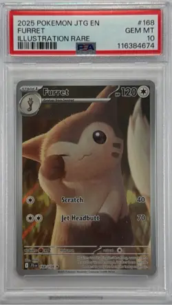 2025 POKEMON JTG EN Furret #168 Illustration Rare PSA 10 GEM MINT - Image 1